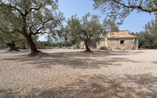 Well-tended plot of land (826)