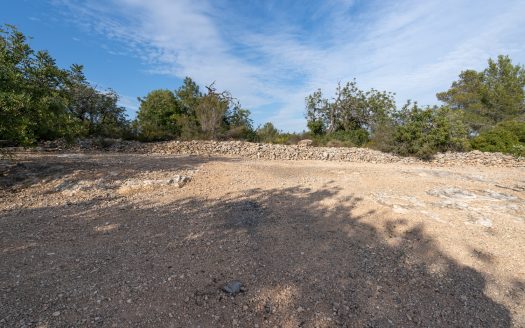 Extremely neat plot of land (842)