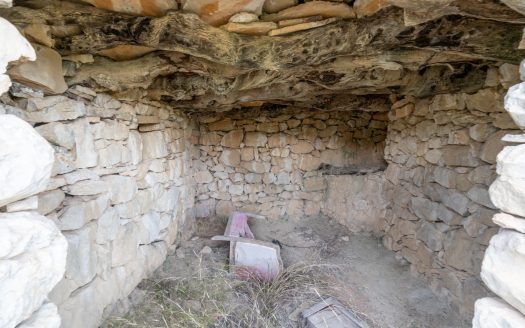 6 hectàrees de pins, oliveres i malesa (849)