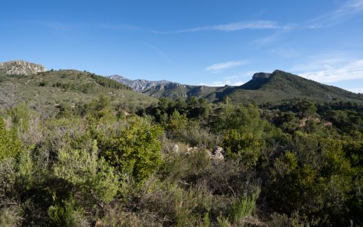 A rocky and abandoned land (850)