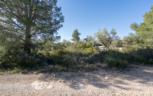 A rocky and abandoned land (850)