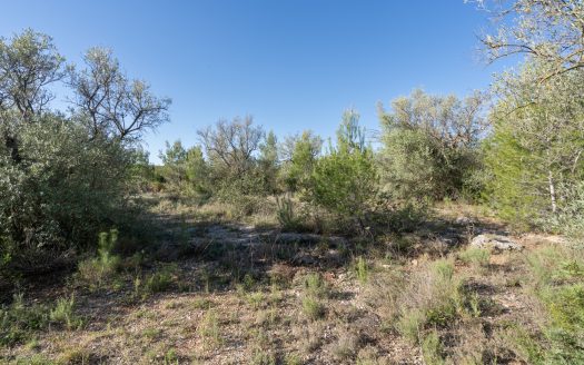 A rocky and abandoned land (850)