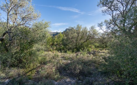 A rocky and abandoned land (850)