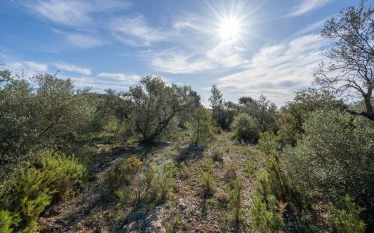 A rocky and abandoned land (850)