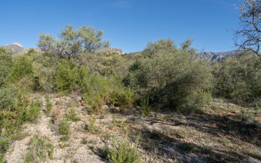 A rocky and abandoned land (850)