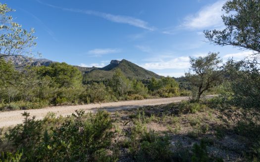 A rocky and abandoned land (850)