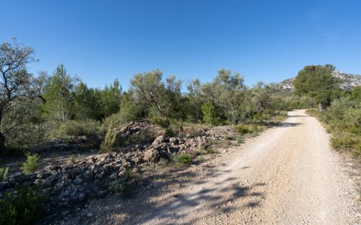 A rocky and abandoned land (850)