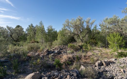 A rocky and abandoned land (850)