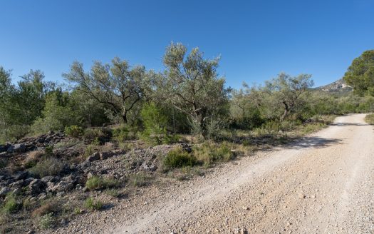 A rocky and abandoned land (850)