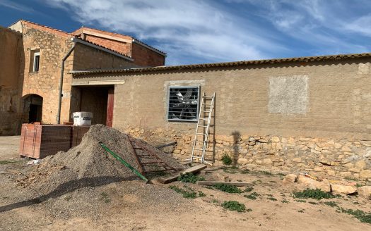 Walnut crop and greenhouse (856)
