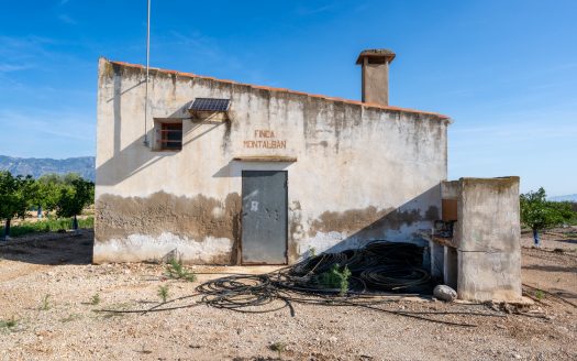Midsize tangerine plot of land (884)