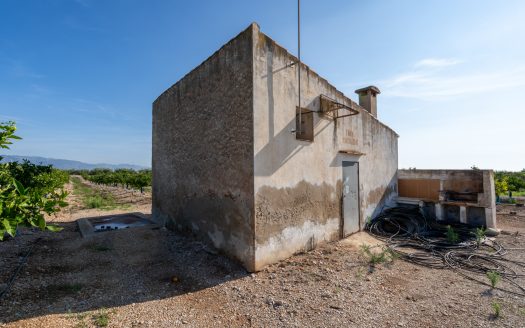 Midsize tangerine plot of land (884)