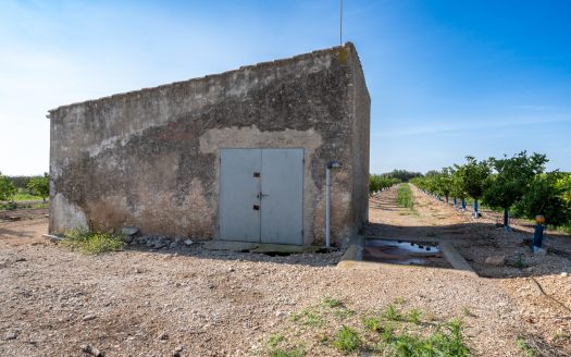 Midsize tangerine plot of land (884)