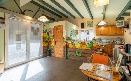 Ecologic oranges in business (896)