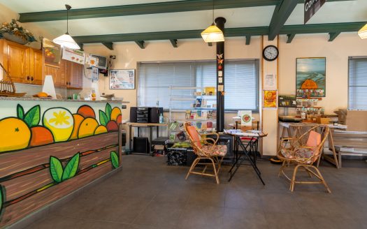Ecologic oranges in business (896)