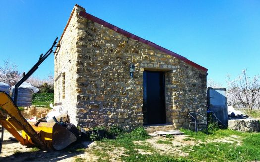 Almond and walnut trees property (888)