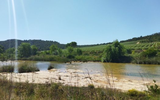 Vinya amb una masia per a reformar (890)