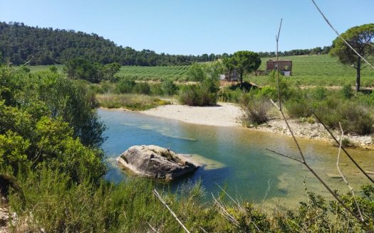 Vinya amb una masia per a reformar (890)