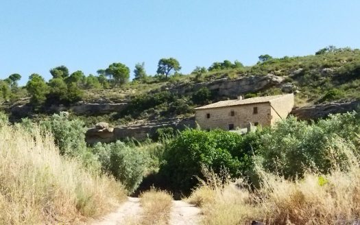 Vinya amb una masia per a reformar (890)