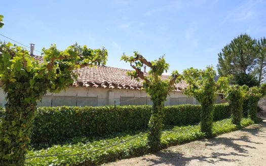 Farmhouse in Caseres (886)