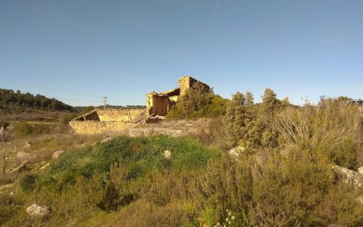 Huge land with a farmhouse to restore (887)