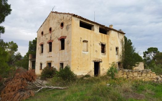 Huge land with a farmhouse to restore (887)