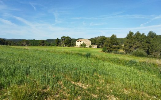 Huge land with a farmhouse to restore (887)
