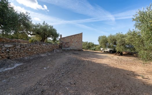 Rural views (900)