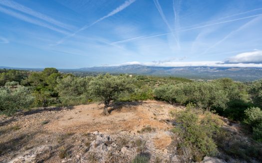 Rural views (900)