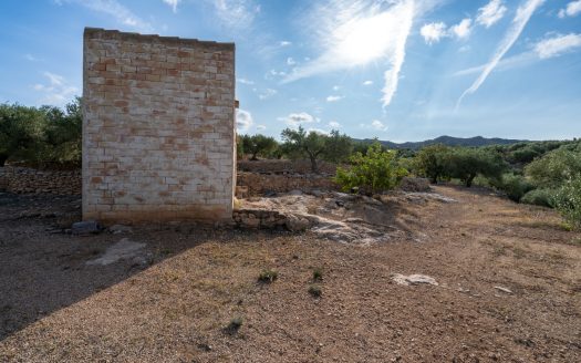 Rural views (900)