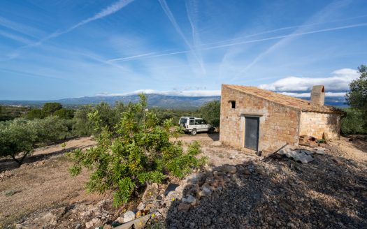 Rural views (900)