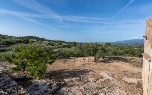 Rural views (900)