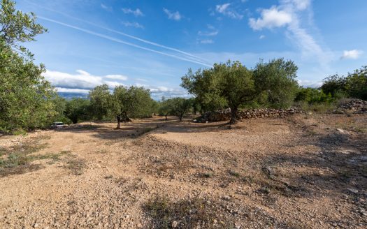 Rural views (900)