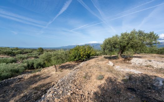 Rural views (900)