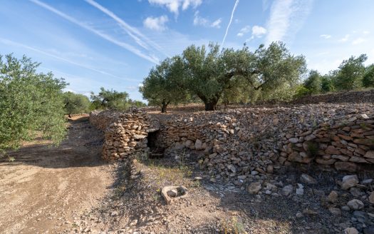 Rural views (900)