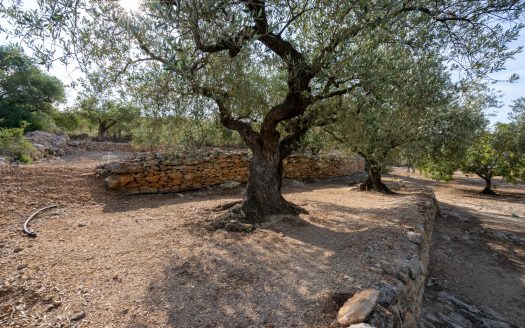 Rural views (900)