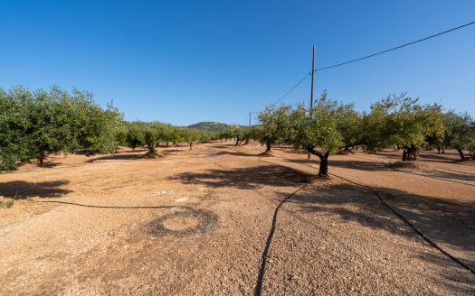 Una masia amb llum i aigua (908)