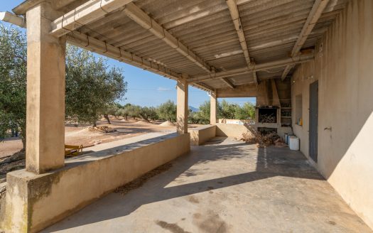 Una masia amb llum i aigua (908)