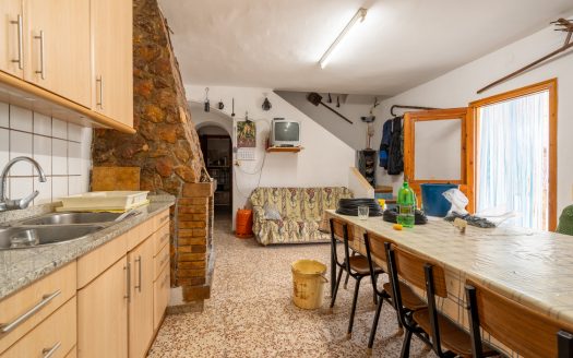 Una masia amb llum i aigua (908)