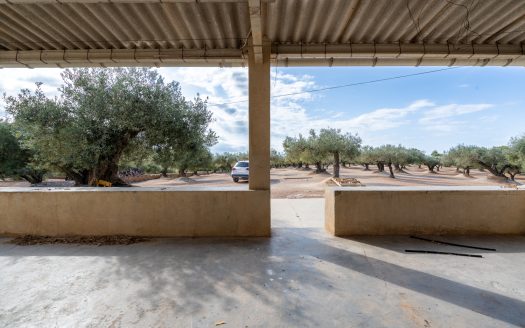 Una masia amb llum i aigua (908)