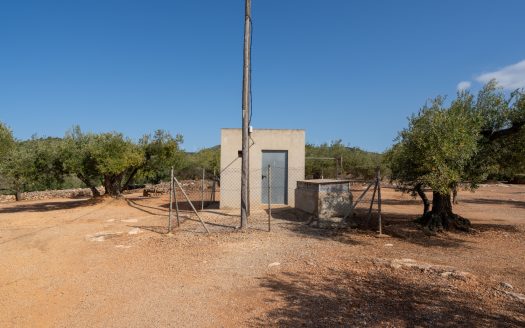 Una masia amb llum i aigua (908)