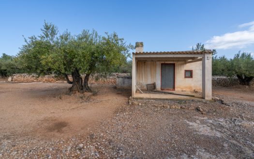 Una masia amb llum i aigua (908)