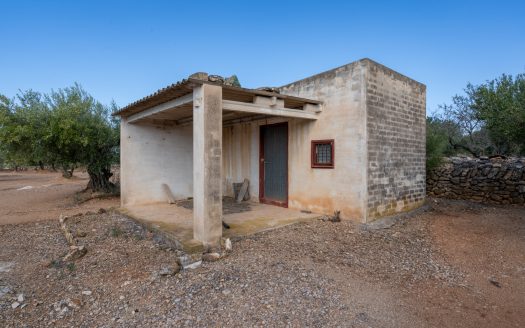 Una masia amb llum i aigua (908)