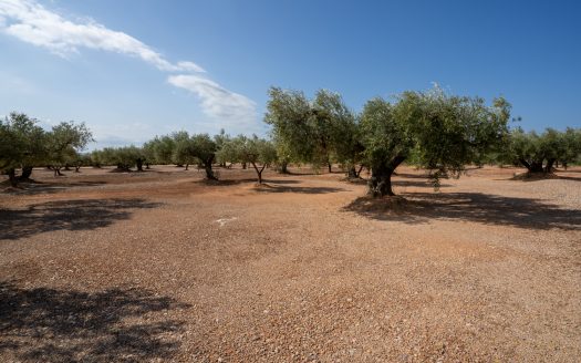 Una masia amb llum i aigua (908)