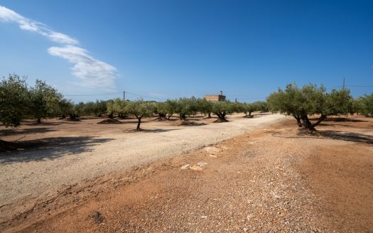 Una masia amb llum i aigua (908)