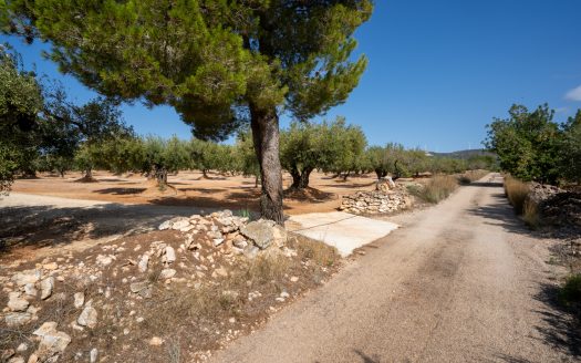 Una masia amb llum i aigua (908)