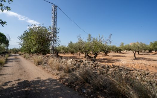 Una masia amb llum i aigua (908)