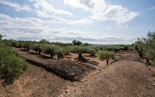 Una masia amb llum i aigua (908)