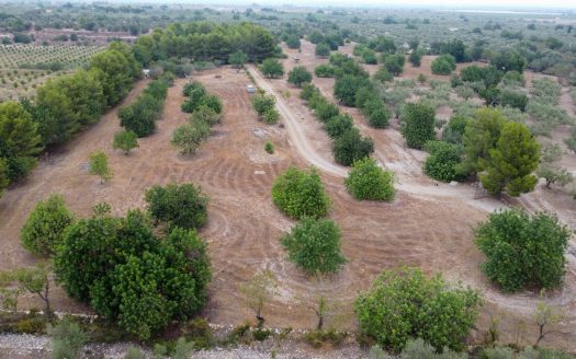 Large and flat plot of land (921)