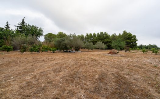 Large and flat plot of land (921)